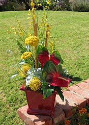 Flower Arrangement for Barbara Azimov