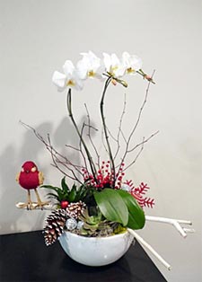 Faux Orchid Arrangements width=