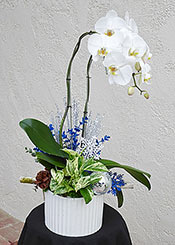 VICA Flower Centerpiece